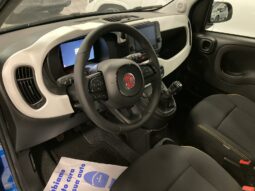 
 Fiat Panda PANDINA 1.0 firefly hybrid s&s full									